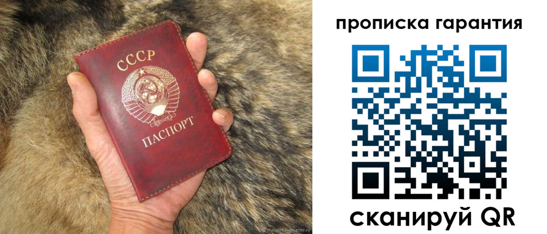 прописка паспорт в Кусе
